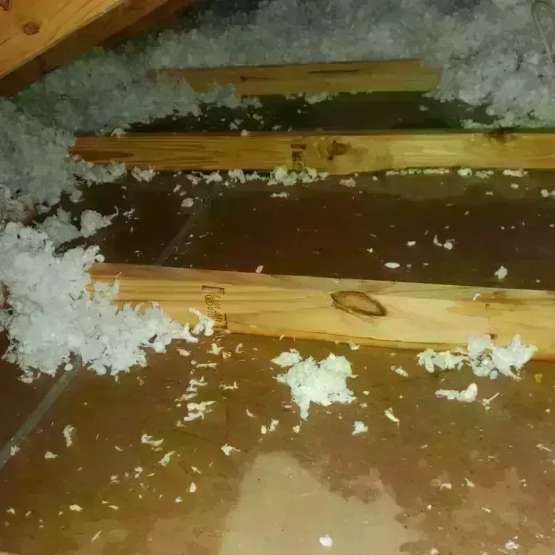 Attic Water Damage in Koreatown, CA